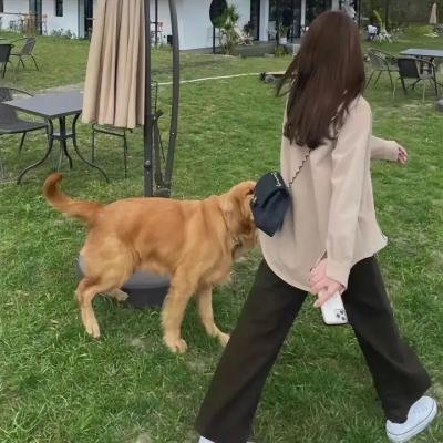 女士目标